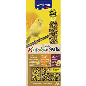 Fuglesnacks kanariefugl