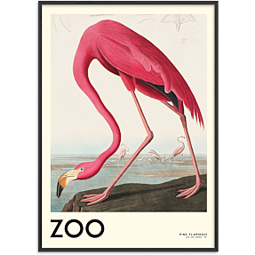 The Zoo Collection Flamingo - 30x40 cm