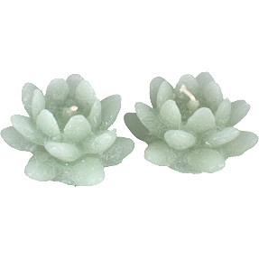 Flydelys 6,5x4,0 cm 2-pak