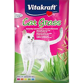 Kattegræs refill