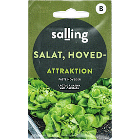 Salling hovedsalat Attraktion