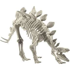 Keycraft Magnoidz 3d dinosaur skelet - assorteret