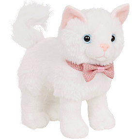 Our Generation katteplys