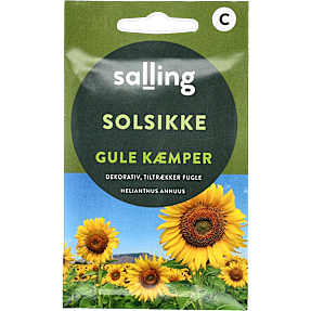 Salling solsikke Gule kæmper