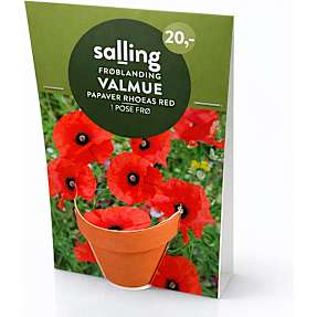 Salling potte med frøblanding - Valmue Papaver Rhoeas Red
