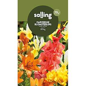 Salling blomsterløg mix