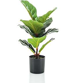 Kunstig plante - Ficus lyrata