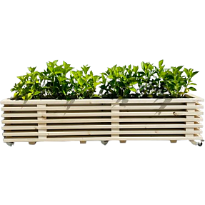 Luksus plantekasse af nye traller 177 cm