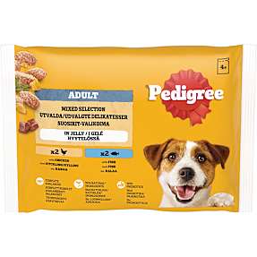 Vådfoder i gelé m. kylling og fisk