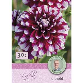 Claus Dalby Dahlia Vik Jesse