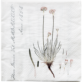 Flora Danica mønstrede servietter 33x33 cm 20-pak