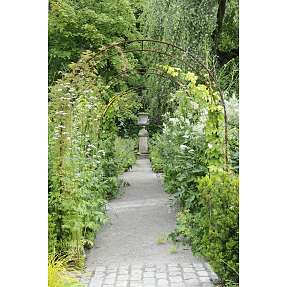 Claus Dalby rosenbue - rust