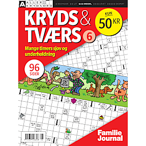 Familie Journal Kryds og tværs 3