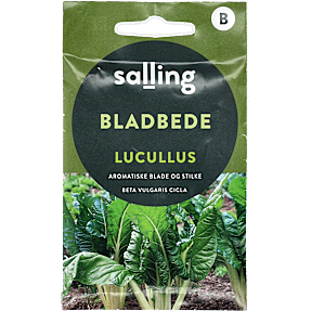 Salling bladbede Lucullus