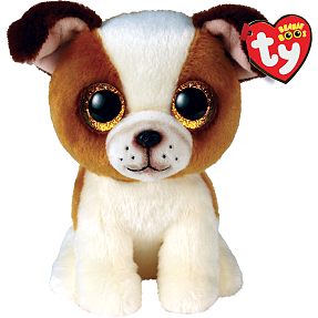 Hugo - brun/hvid hund 