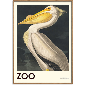 The Zoo Collection Pelican - 70x100 cm