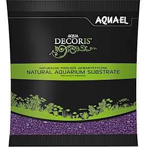 Akvariegrus - lilla