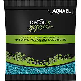 Akvariegrus - turkis
