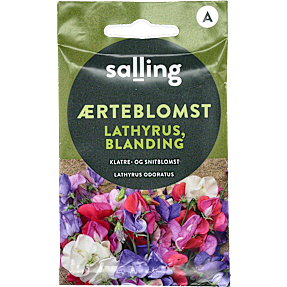 Salling ærteblomst Lathyrus mix