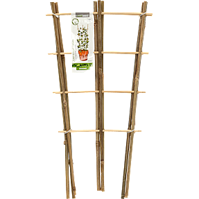 Espalier bambus 3 stk.