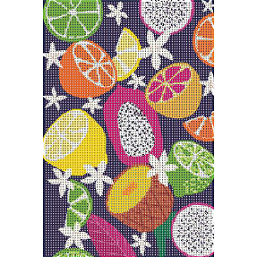 Diamond art frugter 20x30 cm