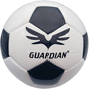 Guardian fodbold