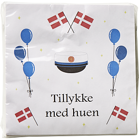 Servietter m. blå studenterhuer 33x33 cm 20-pak