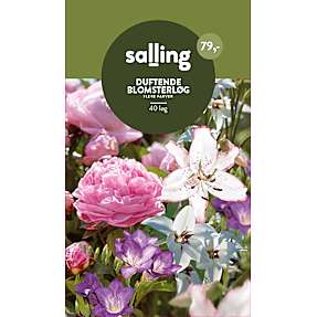 Salling duftende blomsterløg