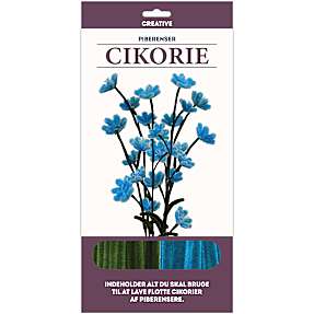 1conzept piberenserblomst - cikorie