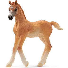 Schleich araberføl 13984