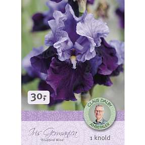 Claus Dalby Iris Germanica Bluebird Wine