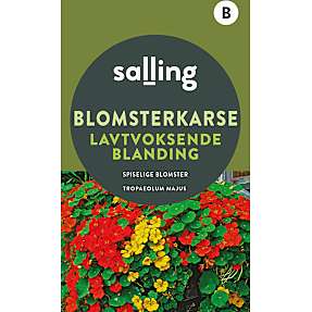 Salling blomsterkarse lavtvoksende blanding