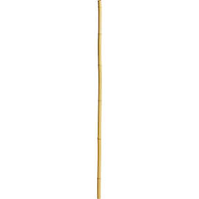 Greenhand bambus snobrødspind