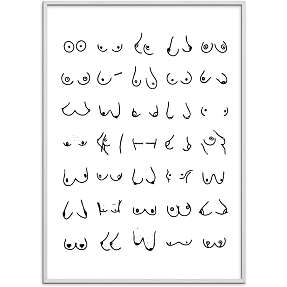 Boobies nr. 3 - 30x40 cm