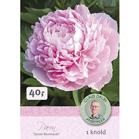 Claus Dalby Pæon Sarah Bernhardt