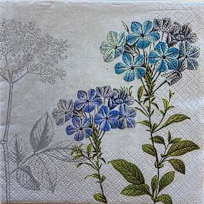 Windsor mønstrede servietter 33x33 cm 20-pak