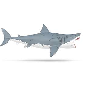 Schleich Megalodon 15055