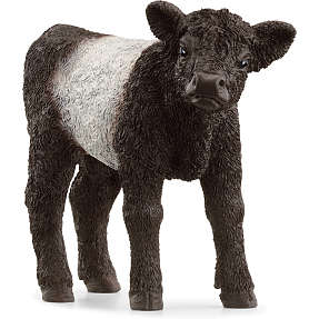 Schleich gallowaykalv 13969