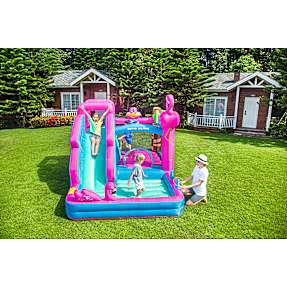 Doctor dolphin hoppeborg - flamingo