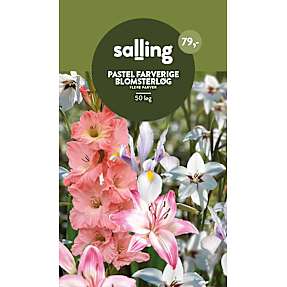 Salling blomsterløg - pastel farver