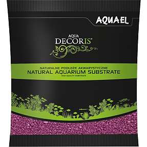 Akvariegrus - fuchsia