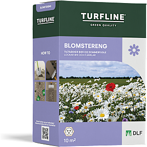 Turfline Blomstereng blomsterfrø 0,1 kg