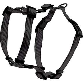 Hundesele str. XXS/XS