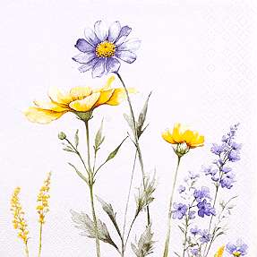 Windsor mønstrede servietter 33x33 cm 20-pak