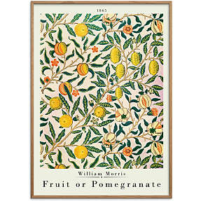 Fruit or pomegranate, W. M. - 70x100 cm