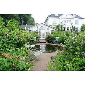 Claus Dalby spejlbassin