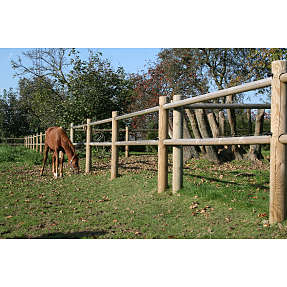 Trykimprægneret hestehegn 40 meter
