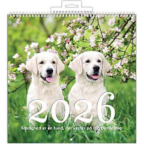 Billedkalender 2026 - hund