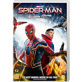 Spider-Man No Way Home
