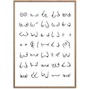 Boobies nr. 3 - 50x70 cm